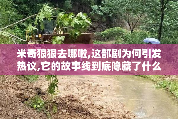米奇狼狠去哪啦,这部剧为何引发热议,它的故事线到底隐藏了什么