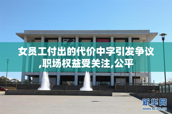 女员工付出的代价中字引发争议,职场权益受关注,公平