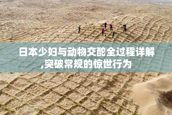 日本少妇与动物交酡全过程详解,突破常规的惊世行为
