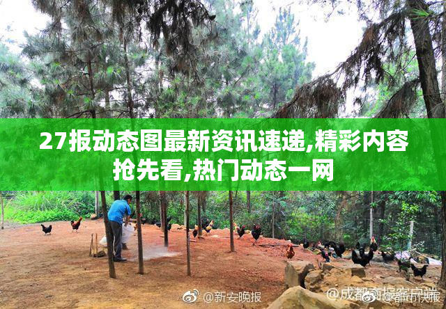 27报动态图最新资讯速递,精彩内容抢先看,热门动态一网