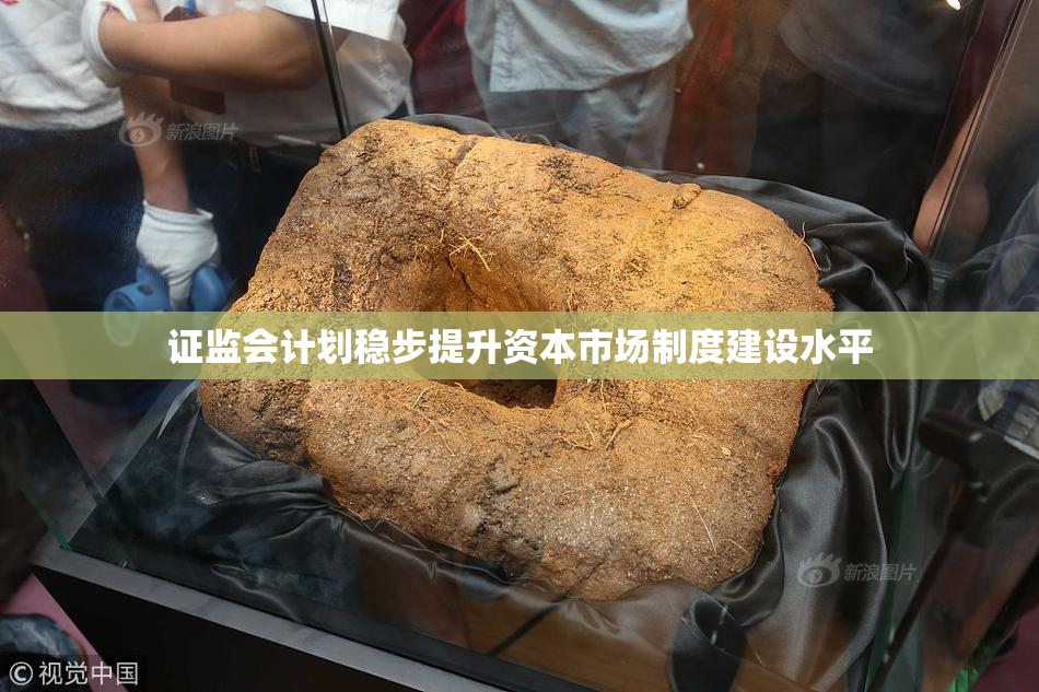 证监会计划稳步提升资本市场制度建设水平