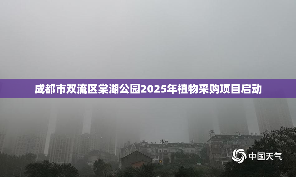 成都市双流区棠湖公园2025年植物采购项目启动