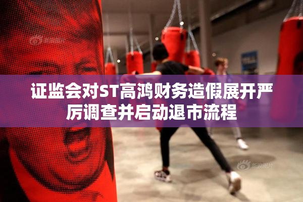证监会对ST高鸿财务造假展开严厉调查并启动退市流程