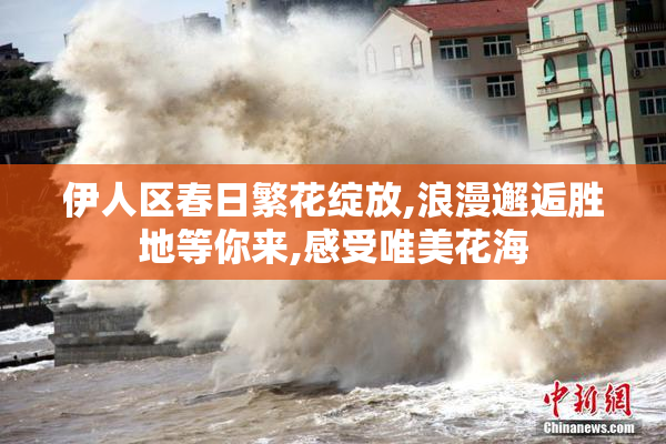 伊人区春日繁花绽放,浪漫邂逅胜地等你来,感受唯美花海