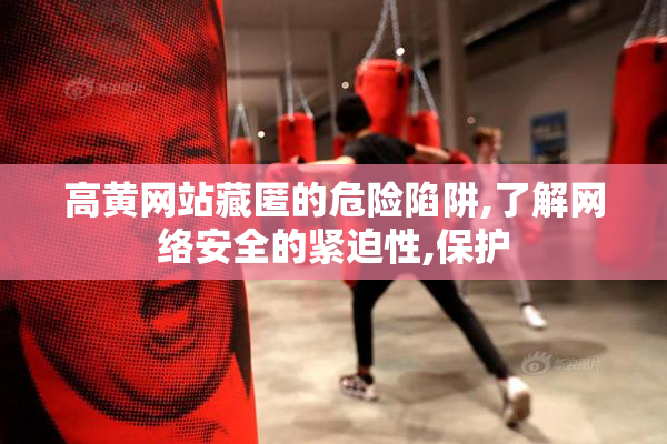高黄网站藏匿的危险陷阱,了解网络安全的紧迫性,保护