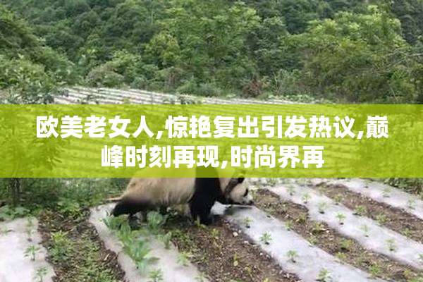 欧美老女人,惊艳复出引发热议,巅峰时刻再现,时尚界再