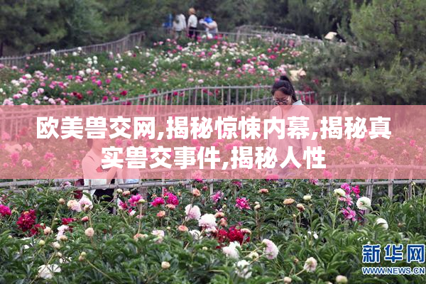 欧美兽交网,揭秘惊悚内幕,揭秘真实兽交事件,揭秘人性