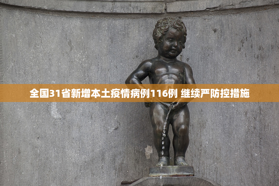 全国31省新增本土疫情病例116例 继续严防控措施