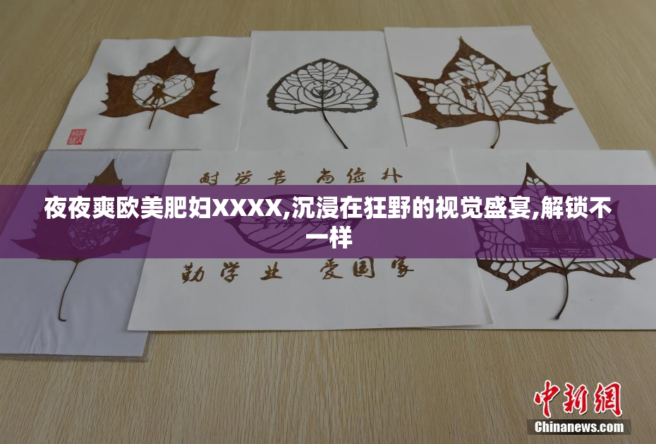 夜夜爽欧美肥妇XXXX,沉浸在狂野的视觉盛宴,解锁不一样