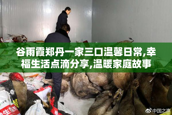 谷雨霞郑丹一家三口温馨日常,幸福生活点滴分享,温暖家庭故事