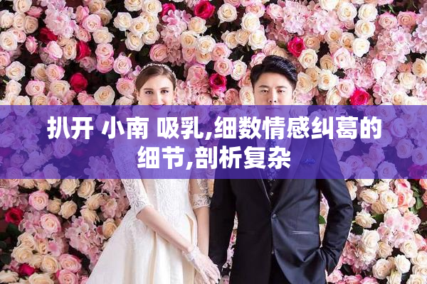 扒开 小南 吸乳,细数情感纠葛的细节,剖析复杂