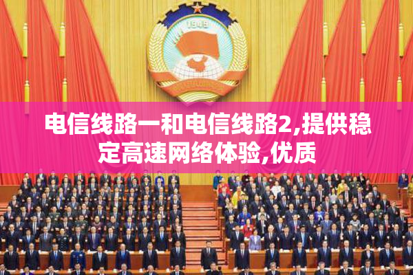 电信线路一和电信线路2,提供稳定高速网络体验,优质