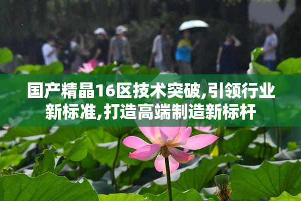 国产精晶16区技术突破,引领行业新标准,打造高端制造新标杆