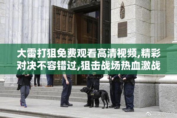 大雷打狙免费观看高清视频,精彩对决不容错过,狙击战场热血激战等