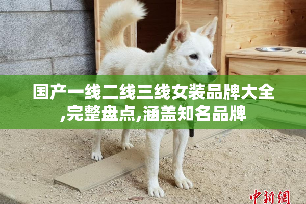 国产一线二线三线女装品牌大全,完整盘点,涵盖知名品牌