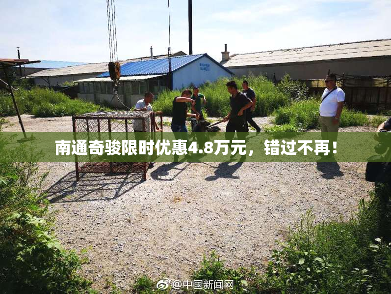 南通奇骏限时优惠4.8万元，错过不再！