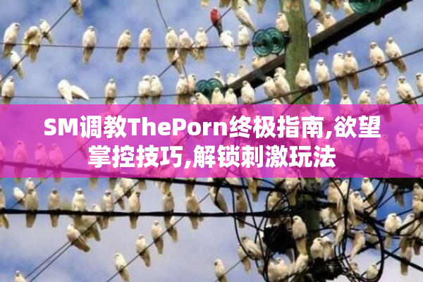 SM调教ThePorn终极指南,欲望掌控技巧,解锁刺激玩法