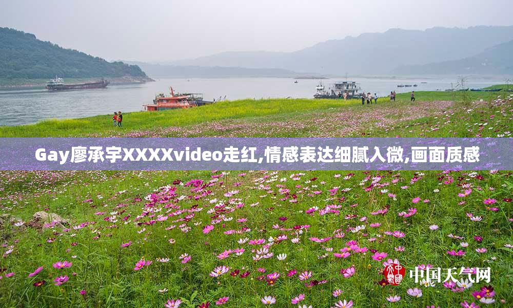 Gay廖承宇XXXXvideo走红,情感表达细腻入微,画面质感