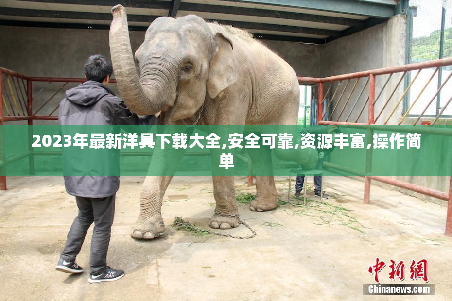 2023年最新洋具下载大全,安全可靠,资源丰富,操作简单