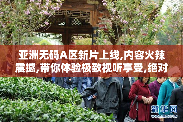 亚洲无码A区新片上线,内容火辣震撼,带你体验极致视听享受,绝对不