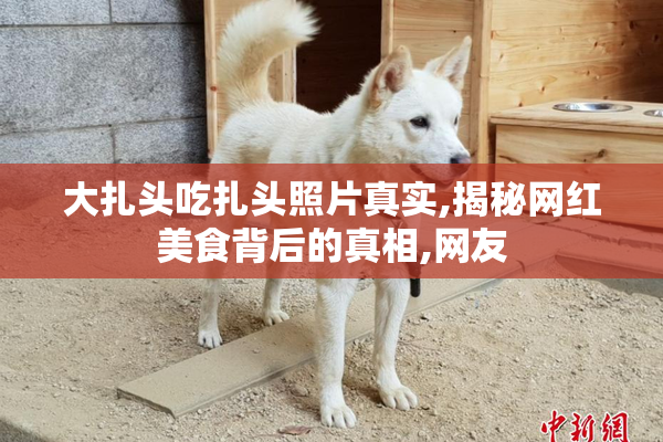 大扎头吃扎头照片真实,揭秘网红美食背后的真相,网友