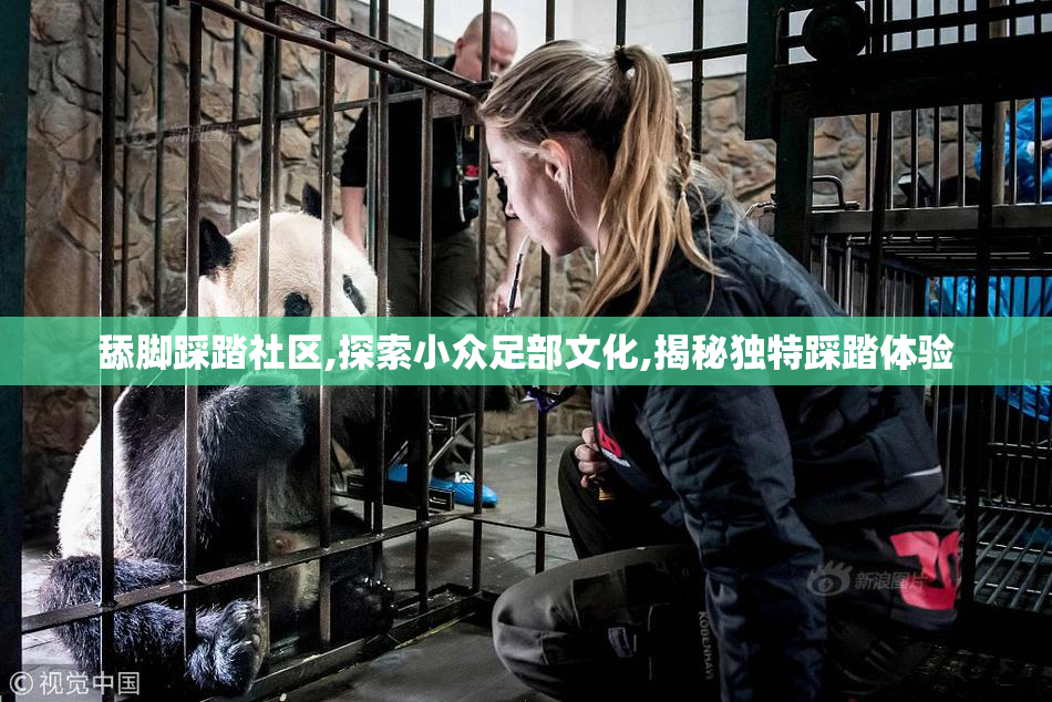 舔脚踩踏社区,探索小众足部文化,揭秘独特踩踏体验