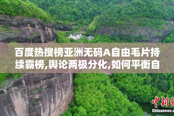 百度热搜榜亚洲无码A自由毛片持续霸榜,舆论两极分化,如何平衡自由
