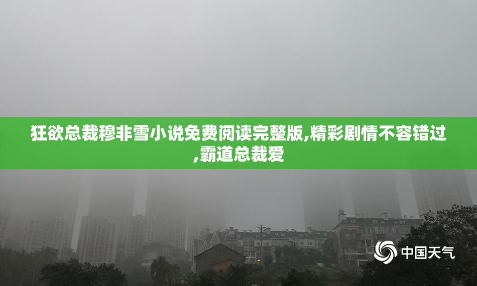 狂欲总裁穆非雪小说免费阅读完整版,精彩剧情不容错过,霸道总裁爱