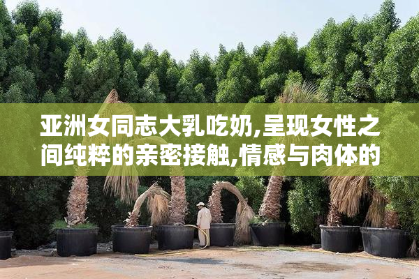 亚洲女同志大乳吃奶,呈现女性之间纯粹的亲密接触,情感与肉体的