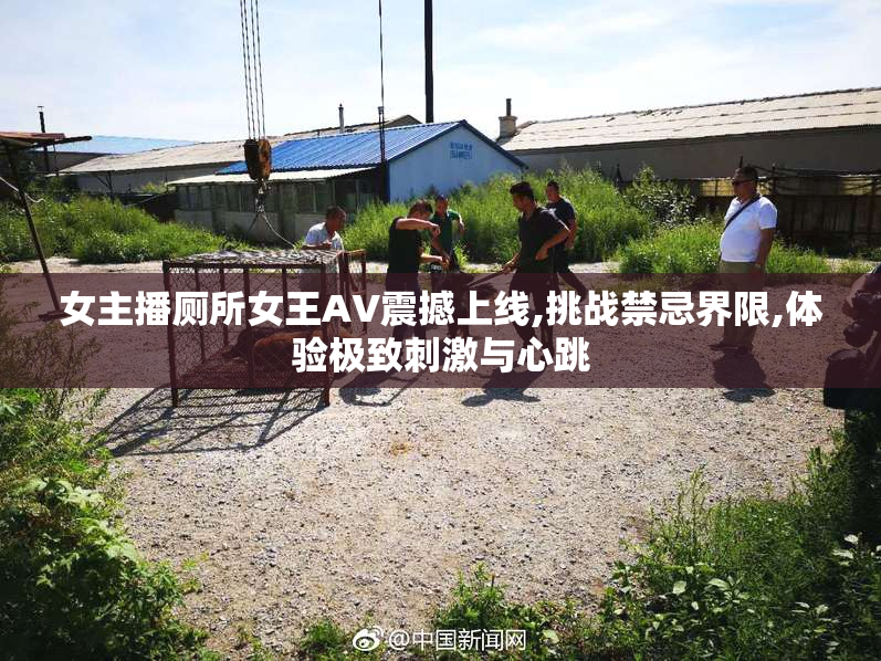 女主播厕所女王AV震撼上线,挑战禁忌界限,体验极致刺激与心跳