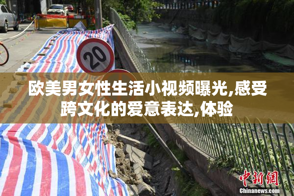 欧美男女性生活小视频曝光,感受跨文化的爱意表达,体验