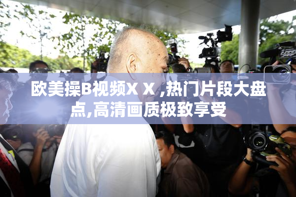 欧美操B视频X X ,热门片段大盘点,高清画质极致享受