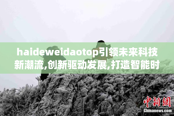 haideweidaotop引领未来科技新潮流,创新驱动发展,打造智能时代新