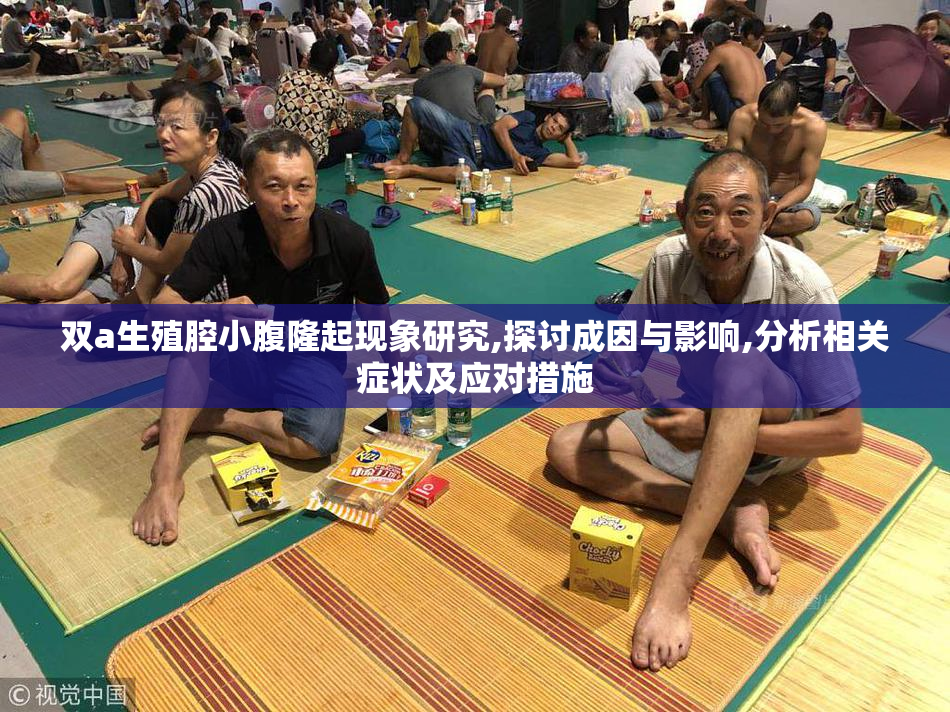 双a生殖腔小腹隆起现象研究,探讨成因与影响,分析相关症状及应对措施