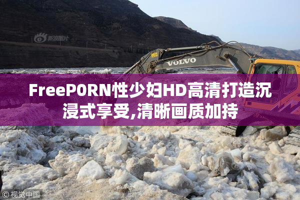 FreeP0RN性少妇HD高清打造沉浸式享受,清晰画质加持