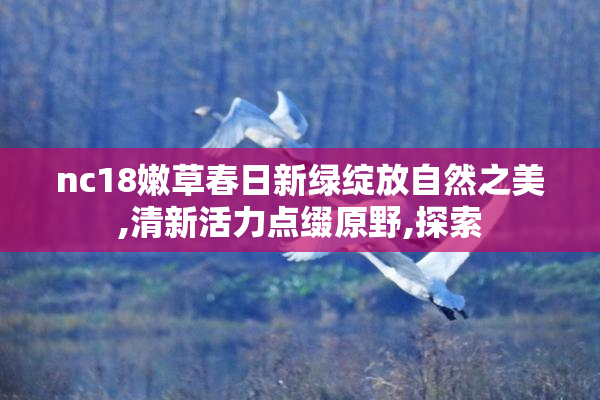 nc18嫩草春日新绿绽放自然之美,清新活力点缀原野,探索