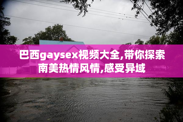 巴西gaysex视频大全,带你探索南美热情风情,感受异域