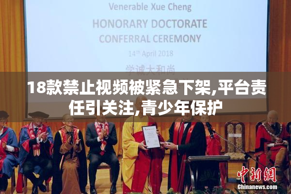 18款禁止视频被紧急下架,平台责任引关注,青少年保护