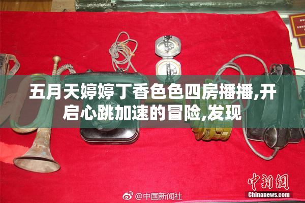 五月天婷婷丁香色色四房播播,开启心跳加速的冒险,发现