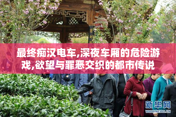 最终痴汉电车,深夜车厢的危险游戏,欲望与罪恶交织的都市传说