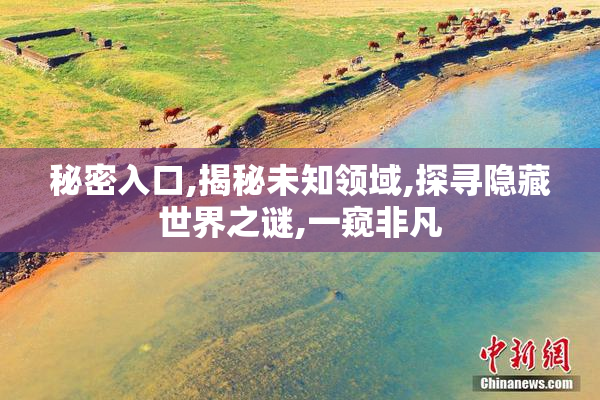秘密入口,揭秘未知领域,探寻隐藏世界之谜,一窥非凡