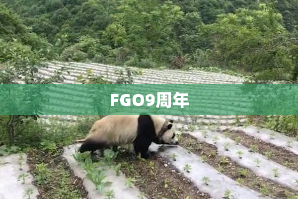 FGO9周年