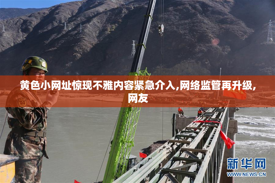 黄色小网址惊现不雅内容紧急介入,网络监管再升级,网友