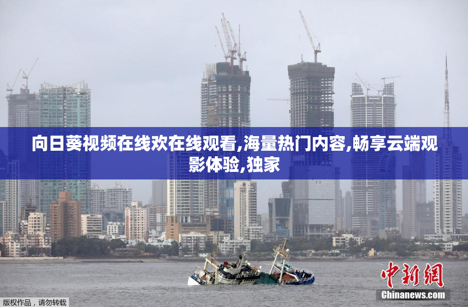 向日葵视频在线欢在线观看,海量热门内容,畅享云端观影体验,独家