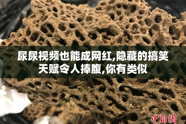 尿尿视频也能成网红,隐藏的搞笑天赋令人捧腹,你有类似