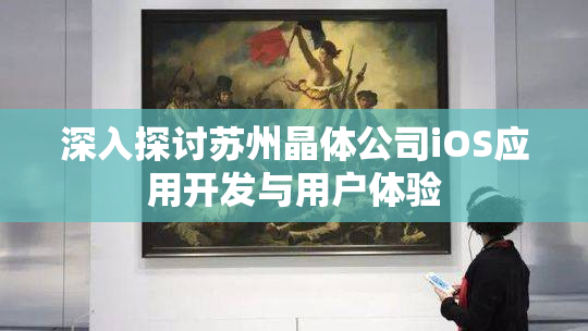 深入探讨苏州晶体公司iOS应用开发与用户体验
