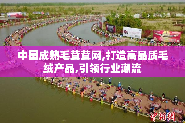 中国成熟毛茸茸网,打造高品质毛绒产品,引领行业潮流