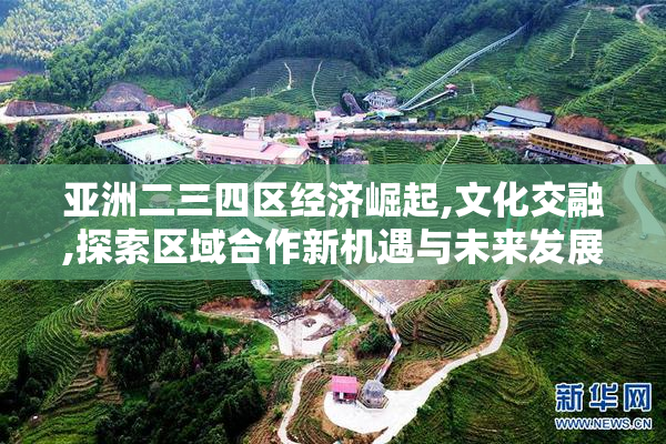 亚洲二三四区经济崛起,文化交融,探索区域合作新机遇与未来发展趋势