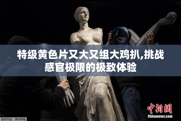 特级黄色片又大又组大鸡扒,挑战感官极限的极致体验