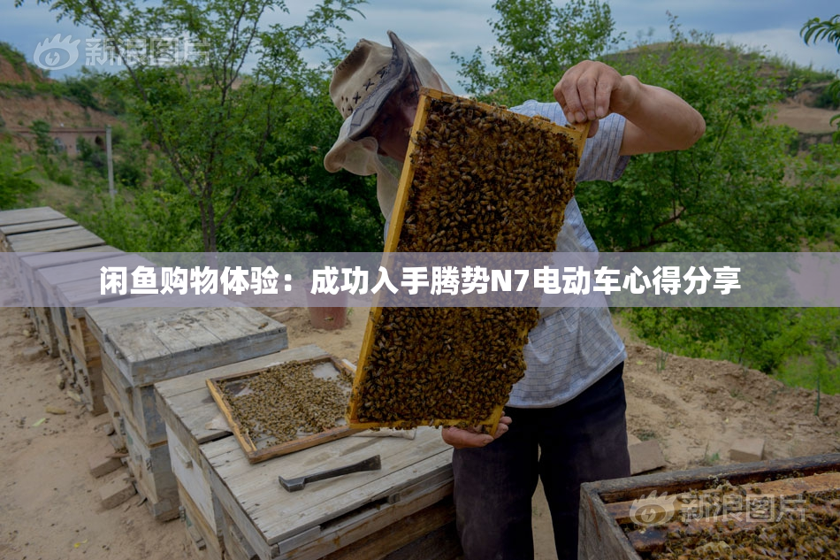 闲鱼购物体验：成功入手腾势N7电动车心得分享